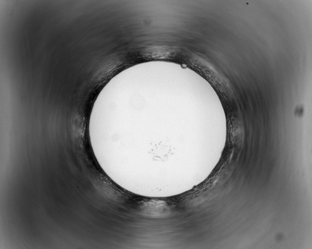 X0000103930374200810101359