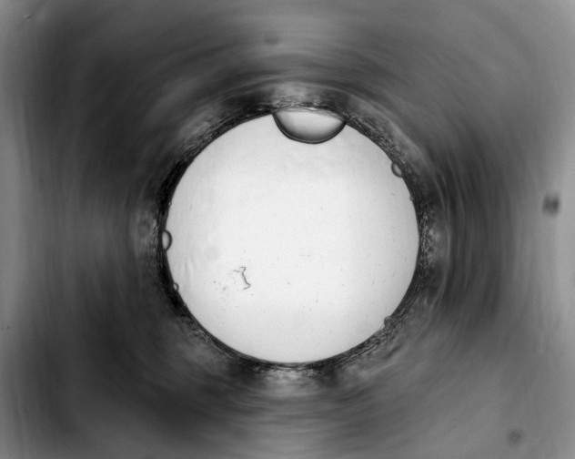 X0000103930375200810101359