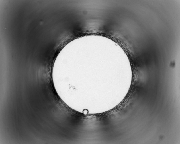 X0000103930376200810101359