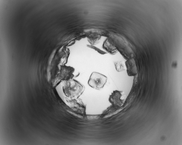 X0000103930377200810101359