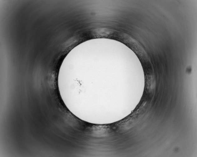 X0000103930378200810101359