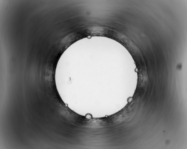 X0000103930379200810101359