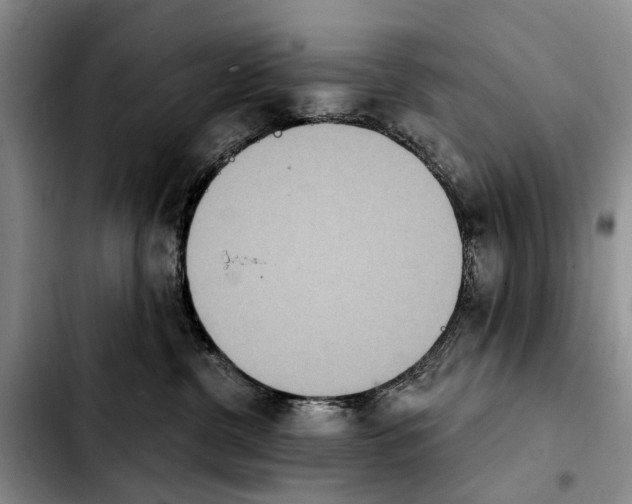 X0000103930380200810101359