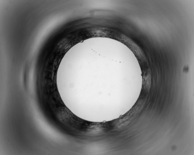 X0000103930381200810101359