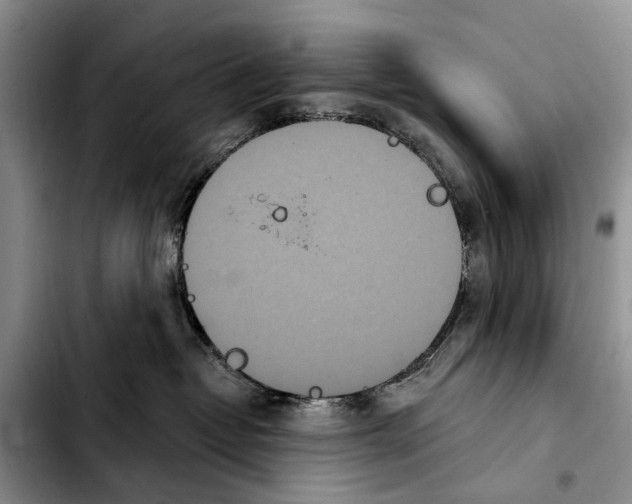 X0000103930382200810101359