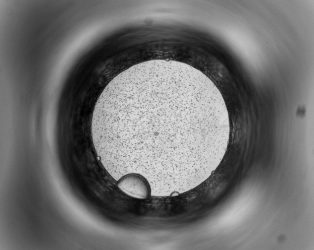 X0000103930383200810101359