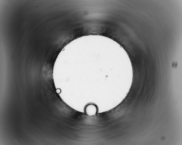 X0000103930384200810101359