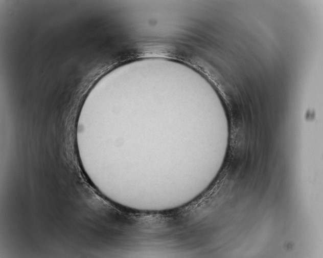 X0000103930385200810101358