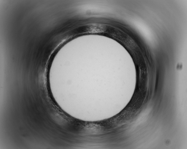 X0000103930387200810101358