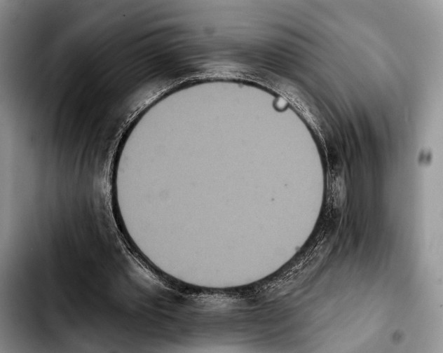 X0000103930389200810101358