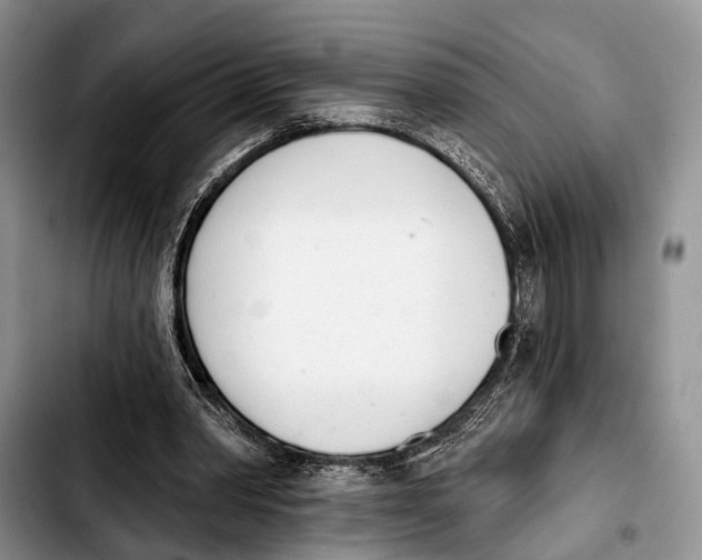 X0000103930390200810101358