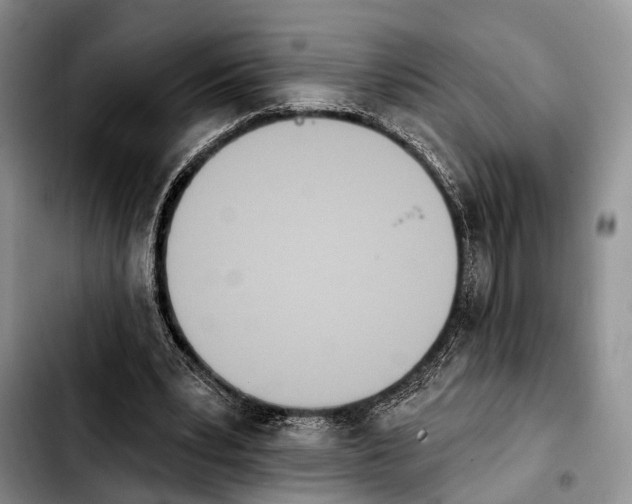 X0000103930391200810101358