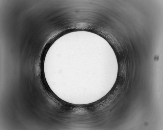 X0000103930392200810101358