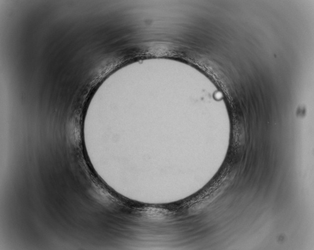 X0000103930393200810101358