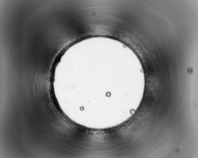 X0000103930395200810101358