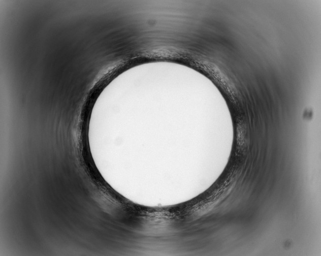 X0000103930396200810101358