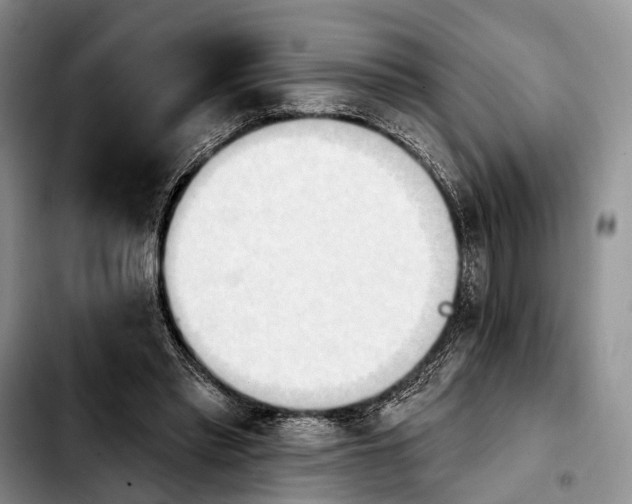 X0000103930397200810101358