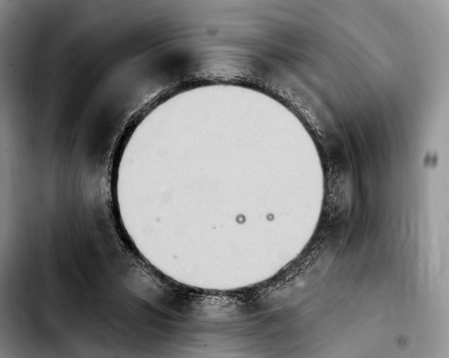 X0000103930399200810101358