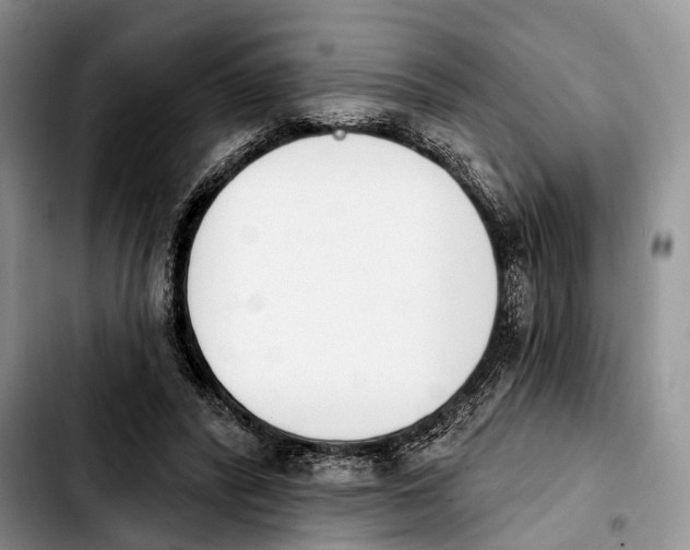 X0000103930400200810101358