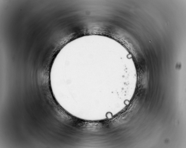 X0000103930401200810101358