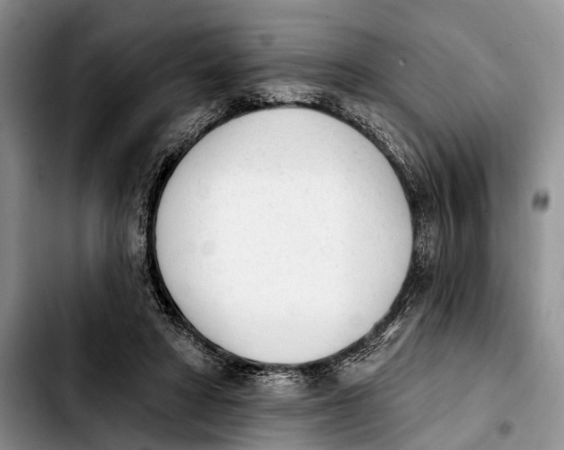 X0000103930402200810101358