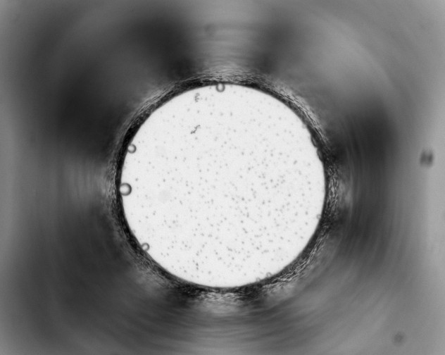 X0000103930403200810101358