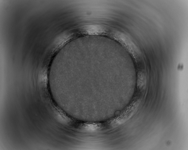 X0000103930405200810101358