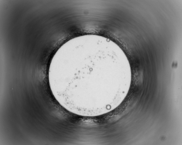 X0000103930407200810101358