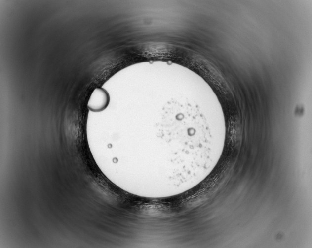 X0000103930408200810101358