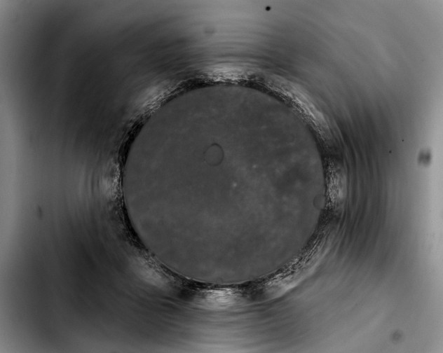 X0000103930411200810101358