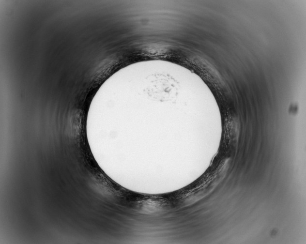 X0000103930412200810101358