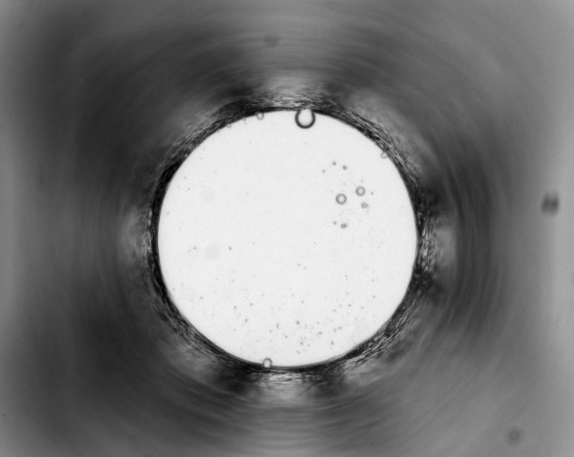 X0000103930413200810101358