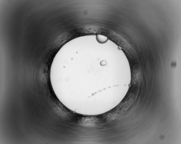 X0000103930414200810101358