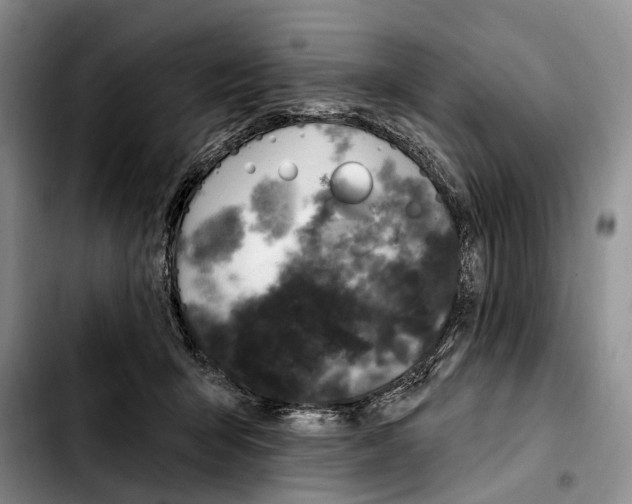 X0000103930415200810101358