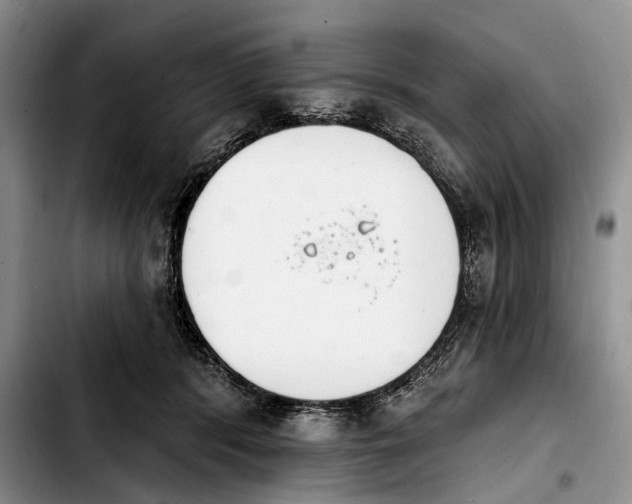 X0000103930416200810101358