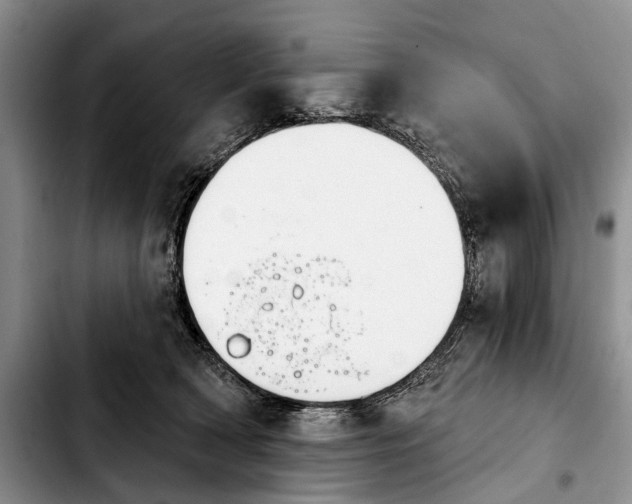 X0000103930418200810101358