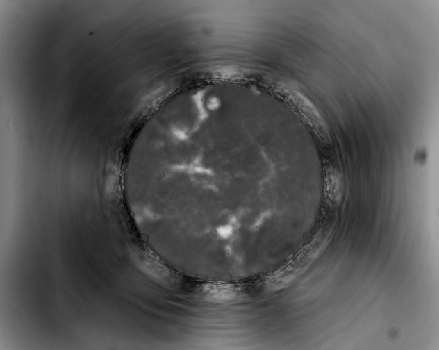 X0000103930419200810101358