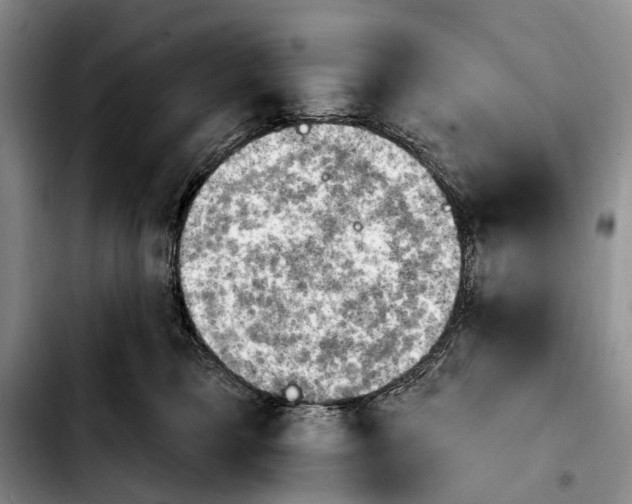 X0000103930421200810101357