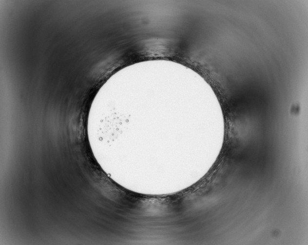 X0000103930422200810101357