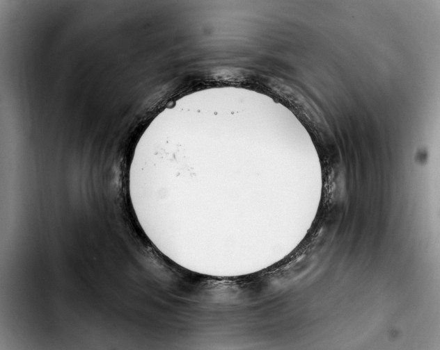 X0000103930424200810101357