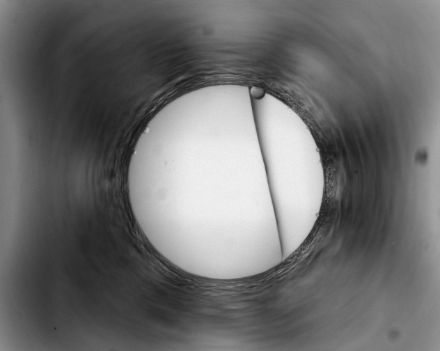 X0000103930425200810101357