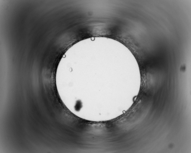 X0000103930426200810101357