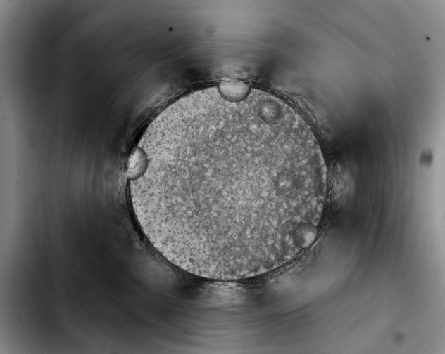 X0000103930427200810101357