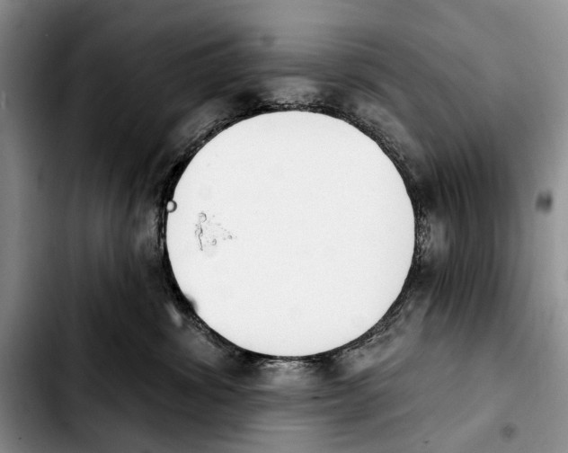 X0000103930428200810101357