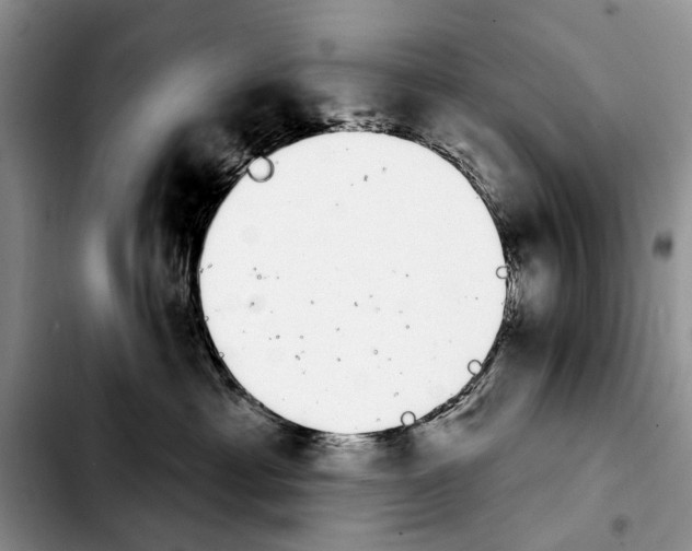 X0000103930429200810101357