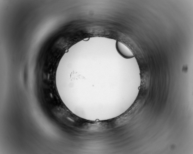 X0000103930430200810101357