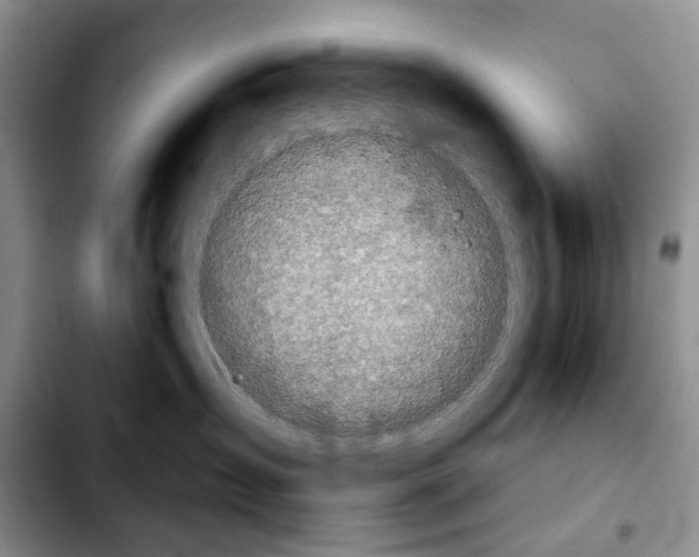 X0000103930431200810101357