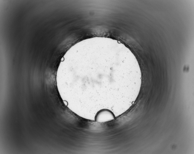 X0000103930432200810101357