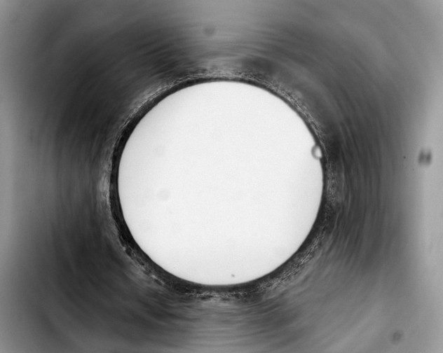 X0000103930434200810101357