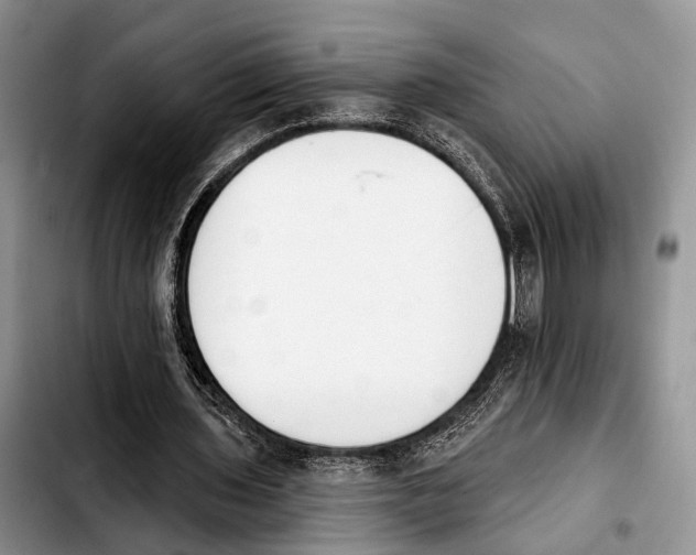 X0000103930435200810101357